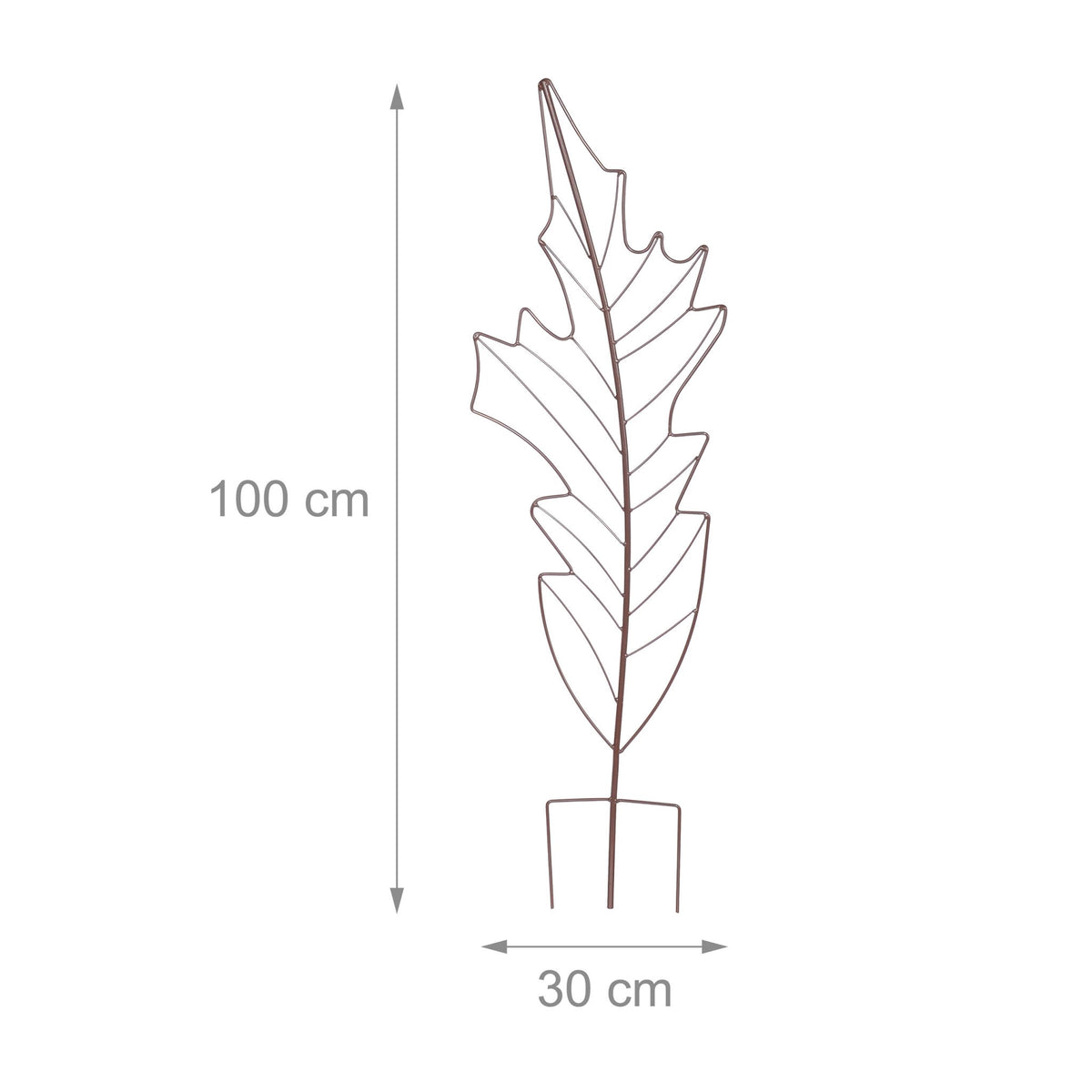 Leaf-Shaped Metal Trellis Set for Climbing Plants