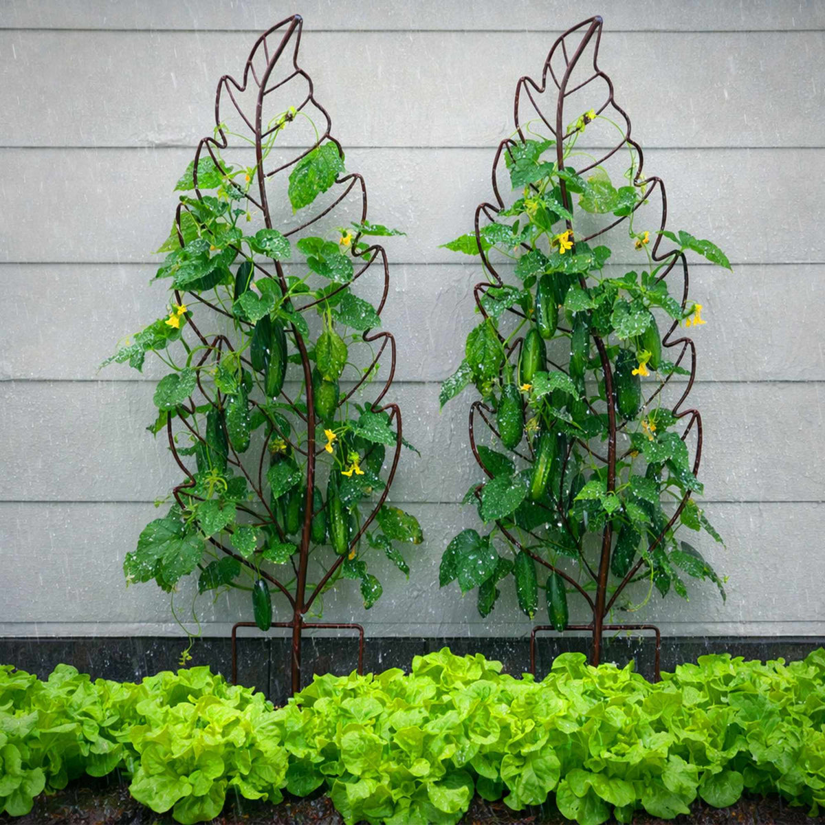 Leaf-Shaped Metal Trellis Set for Climbing Plants