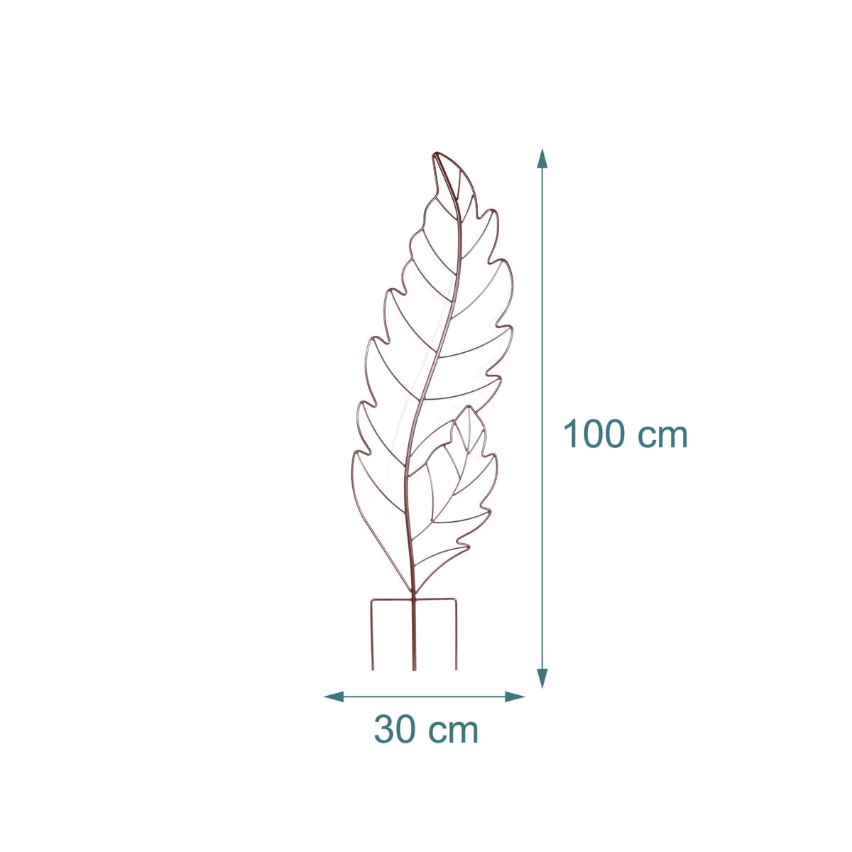 Leaf-Shaped Metal Trellis Set for Climbing Plants