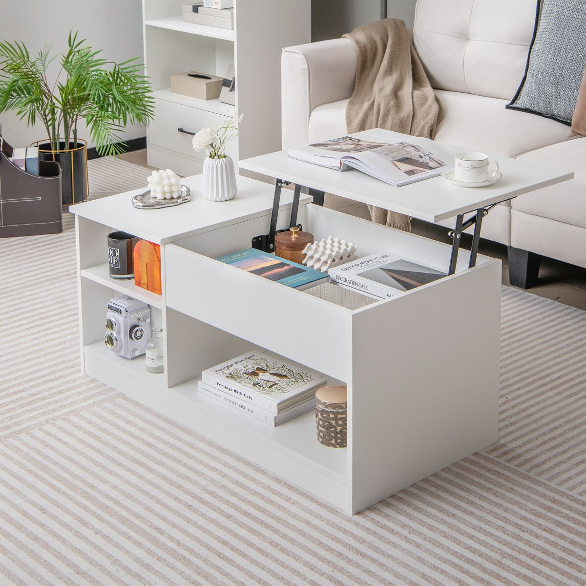 Lift-Top Coffee Table With Storage, Pneumatic Gas Lift