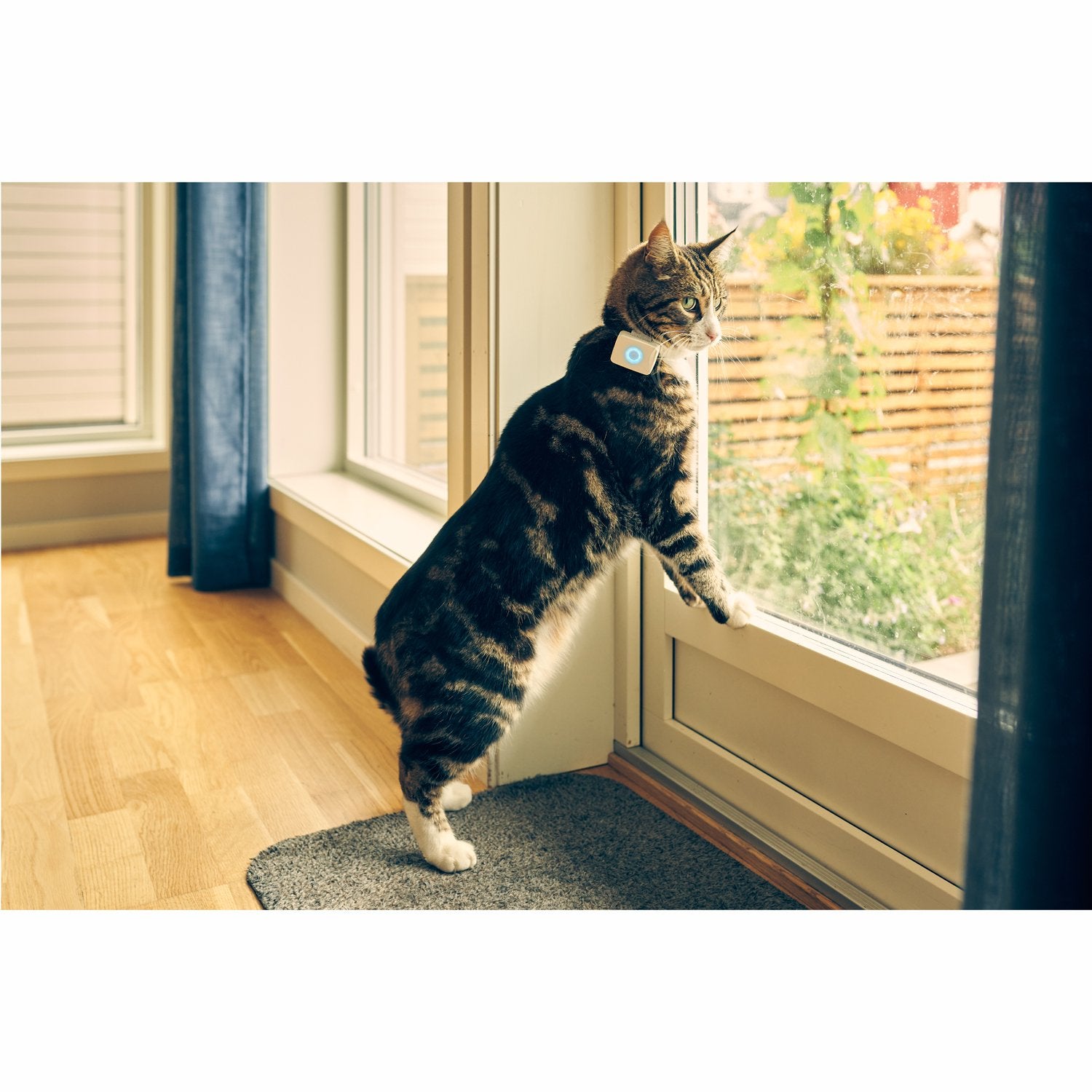 Lilcat 2 GPS Tracker for Cats