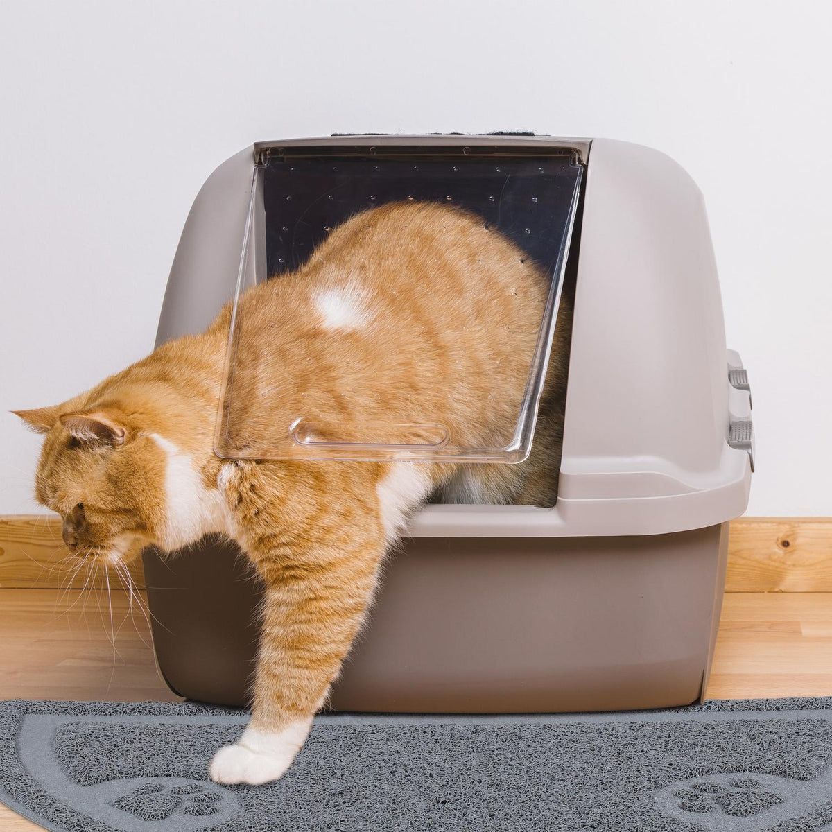 Litter box mat