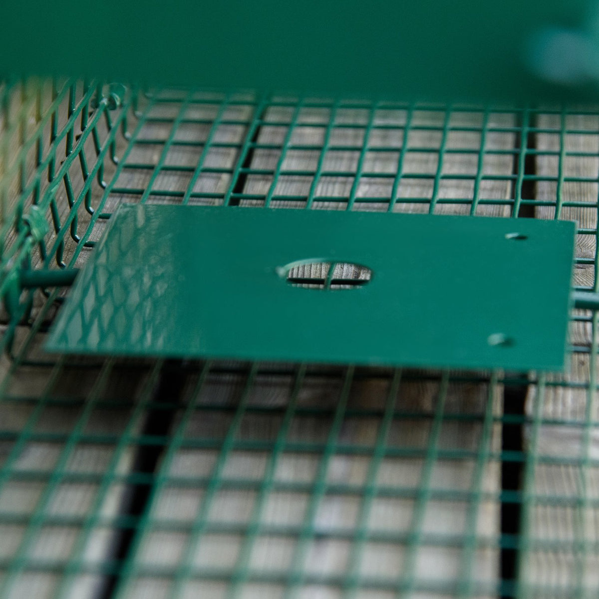 Live Trap, Marten Trap, Wire Trap With Double Door, Rat Trap, Steel, Dark Green, 60X18X20Cm