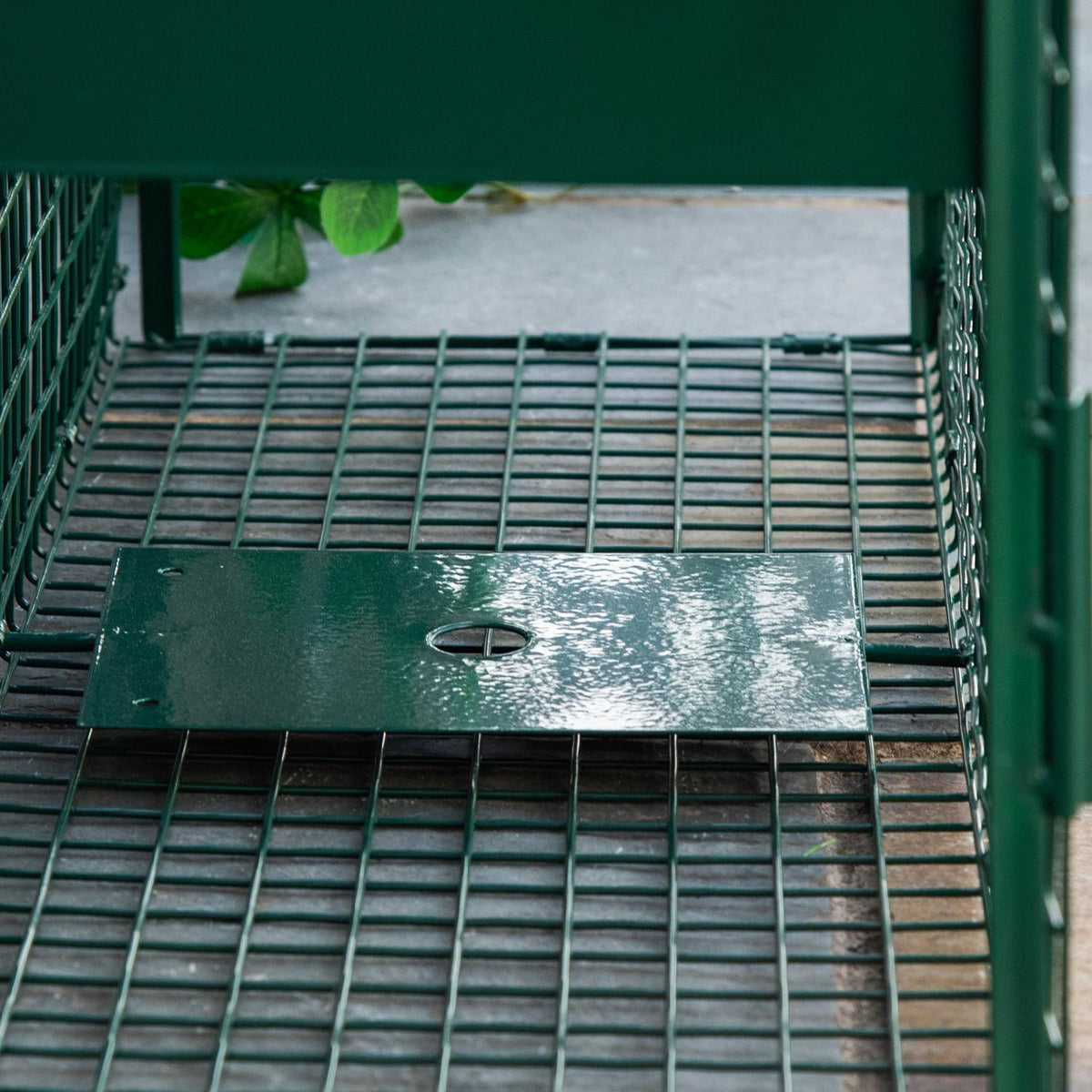 Live Trap Marten Trap With Double Door & Handle, Rat Trap, Steel, Dark Green, 80X25X30Cm