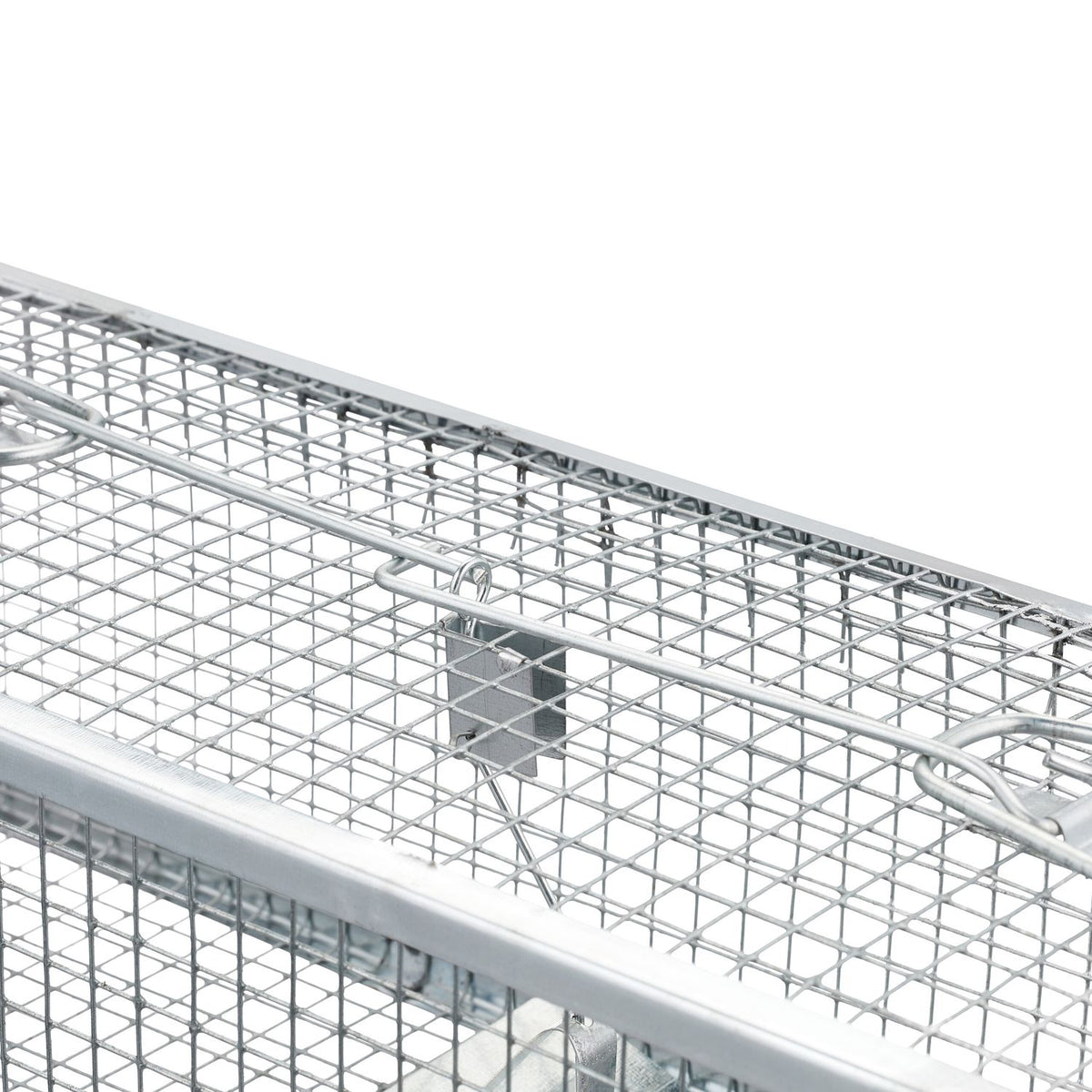 Live trap for mice and rats