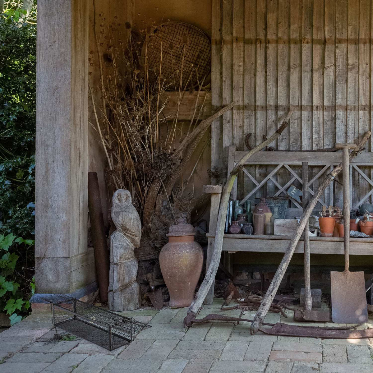 Live trap for mice and rats