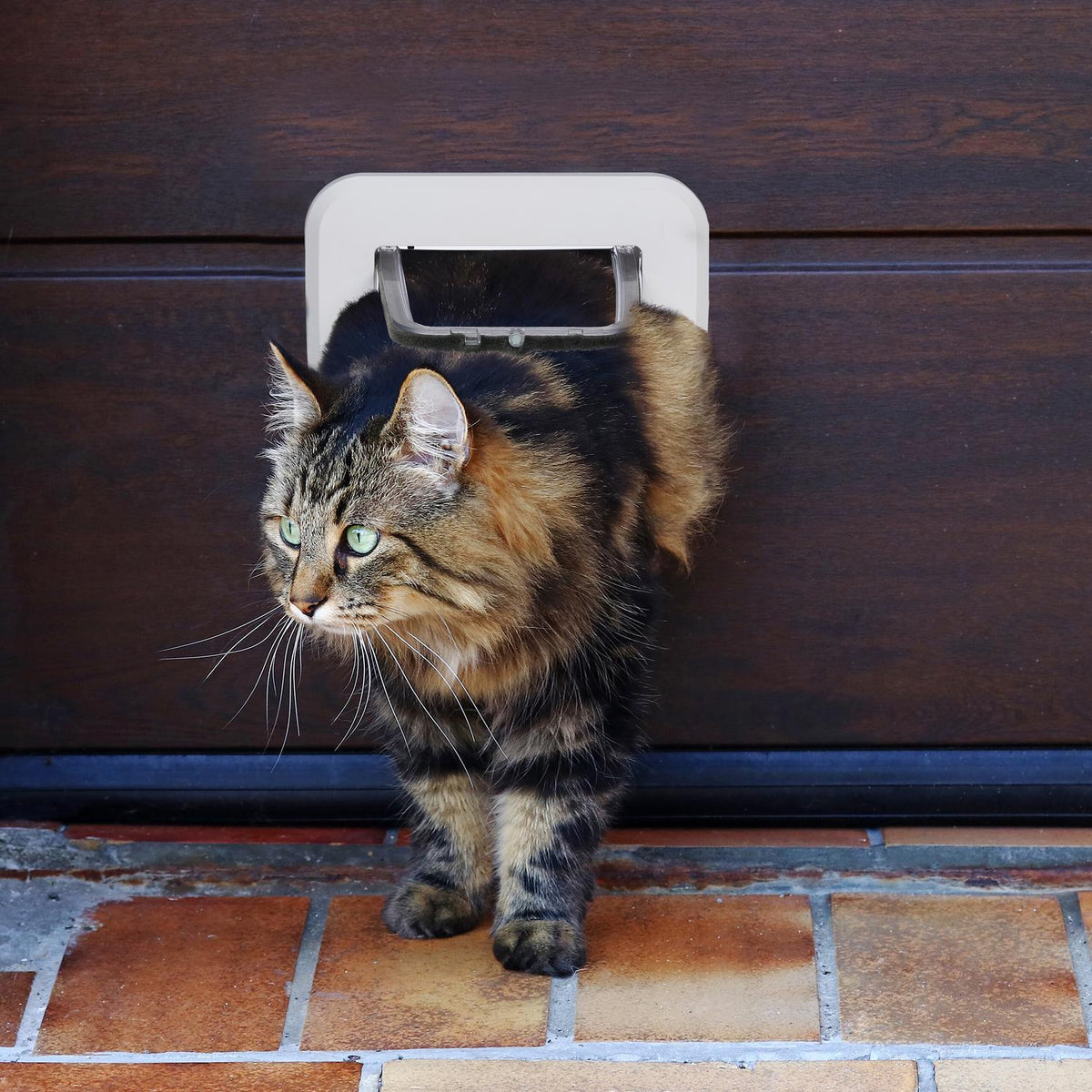 Lockable hatch for pets