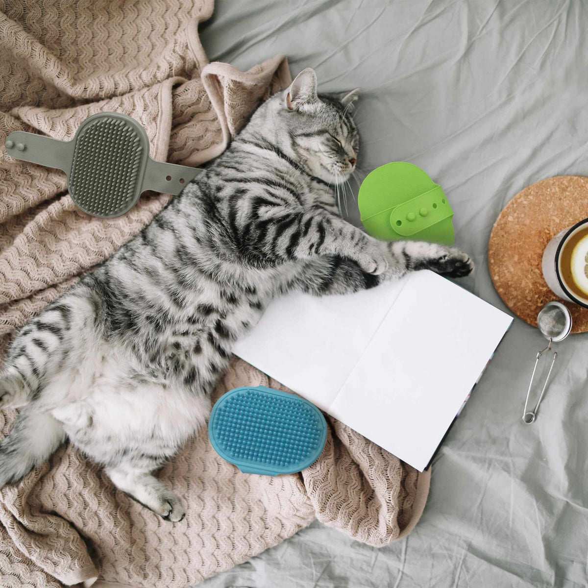 Massage brush dog &amp; cat set of 3