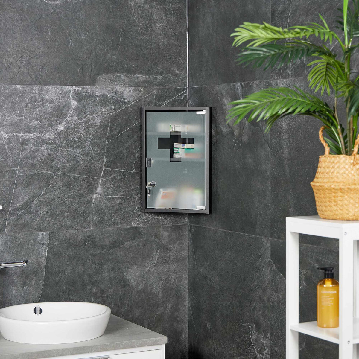 Medicine cabinet with glass door