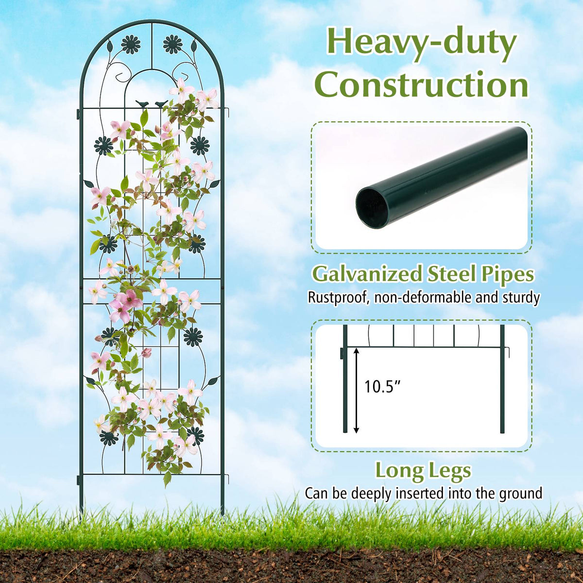 Metal Garden Trellis 2-Pack, 71 x 20 in, Rustproof