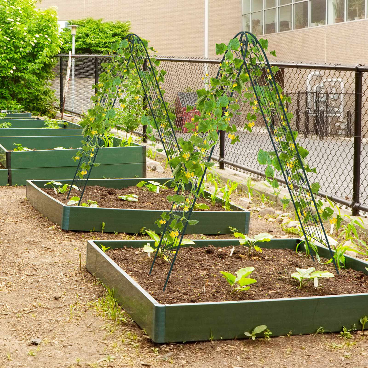 Metal Garden Trellis 2-Pack, 71 x 20 in, Rustproof