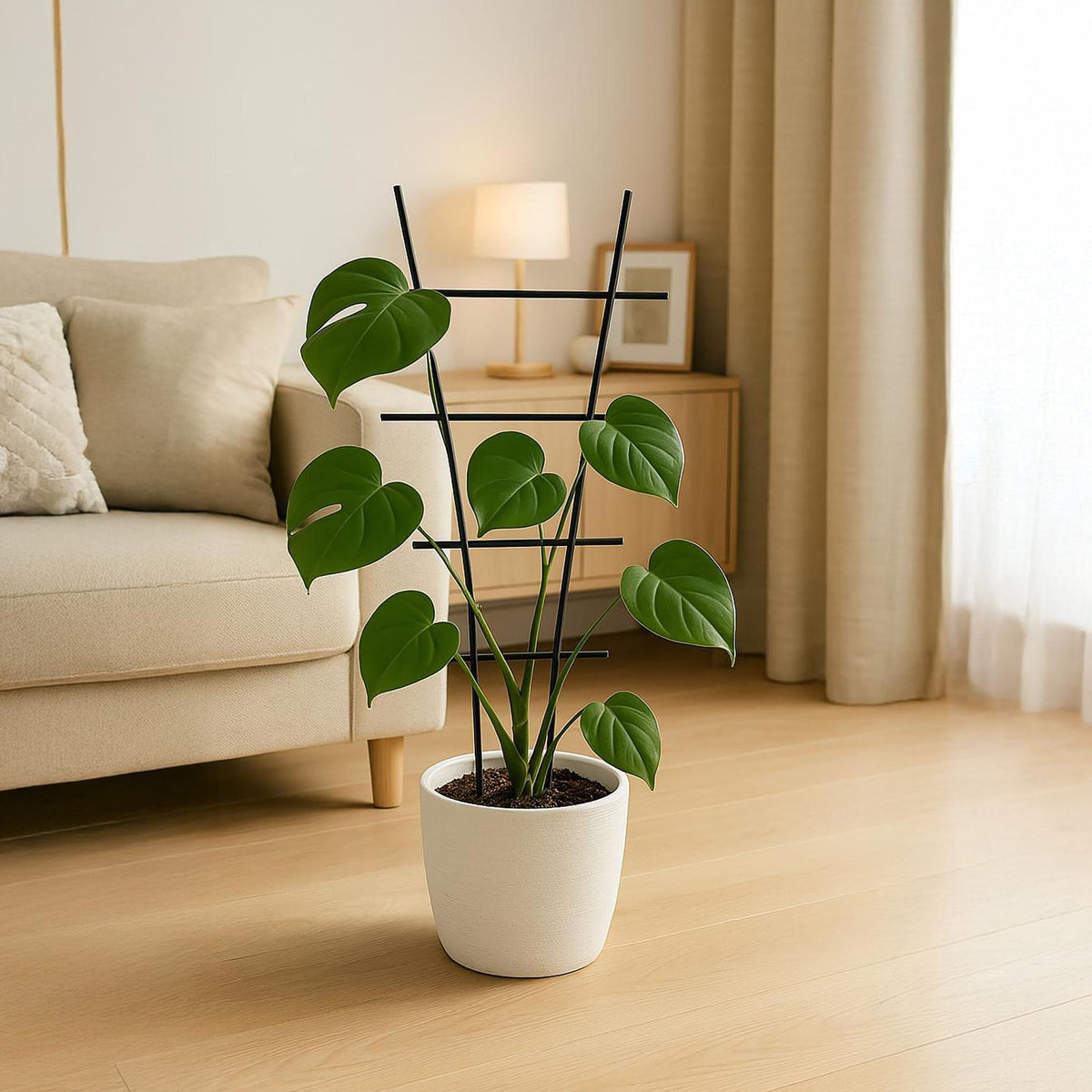 Metal Plant Trellis Set for Climbing Flowers
