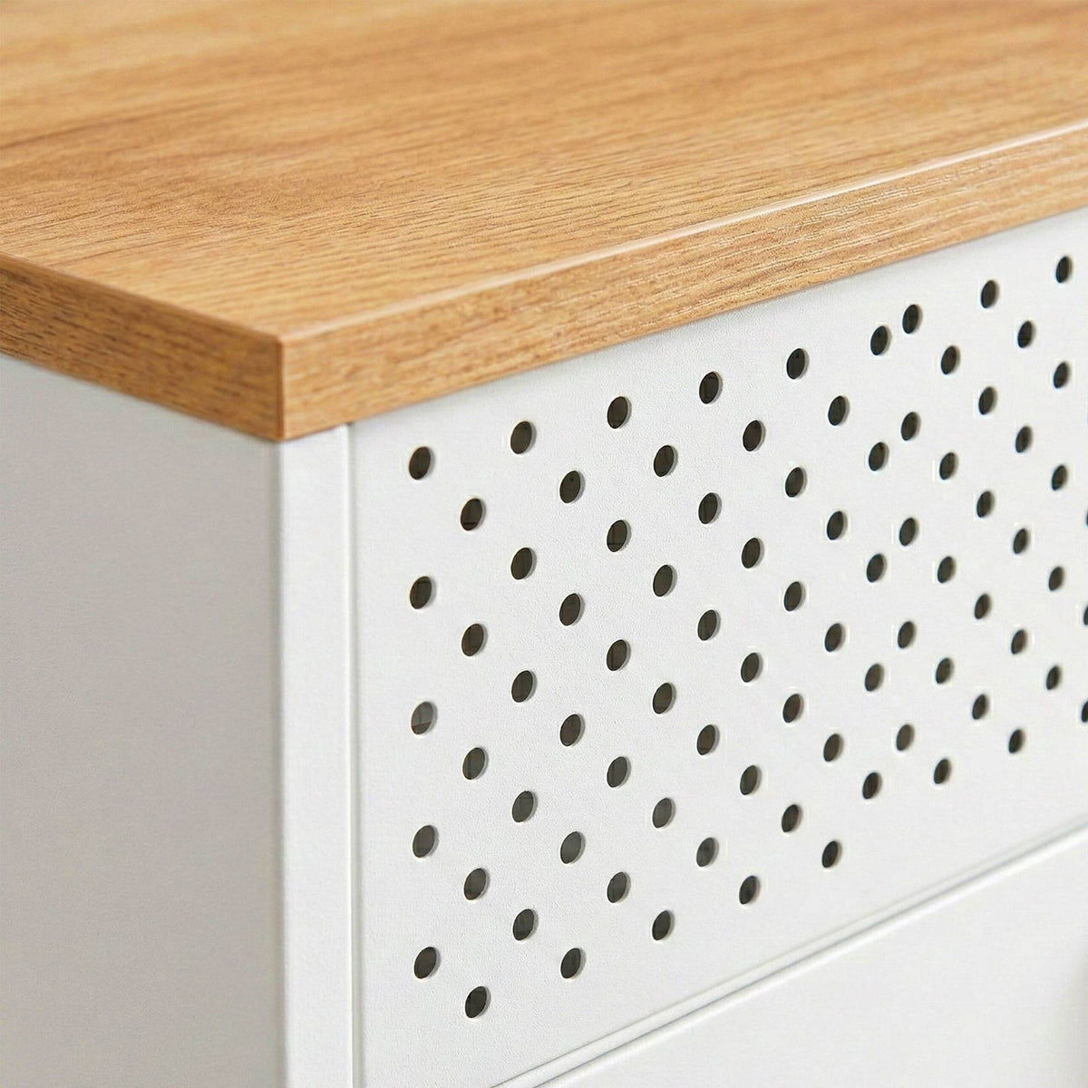 Metal Storage Cabinet, 2-Door, Adjustable Shelves