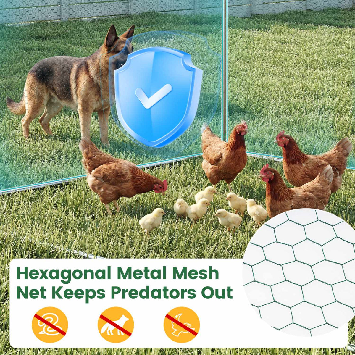 Metal Walk-In Chicken Coop, 300 x 203 x 202 cm, PE Canopy