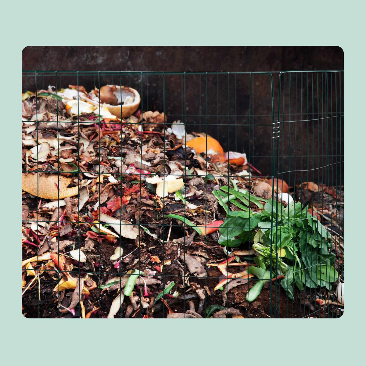 Metal compost with floor grate