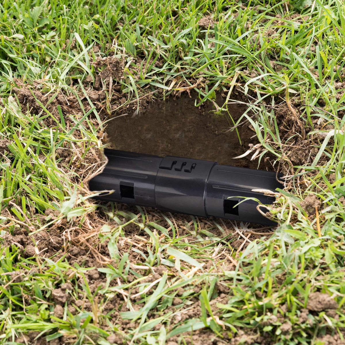 Mole trap Live trap