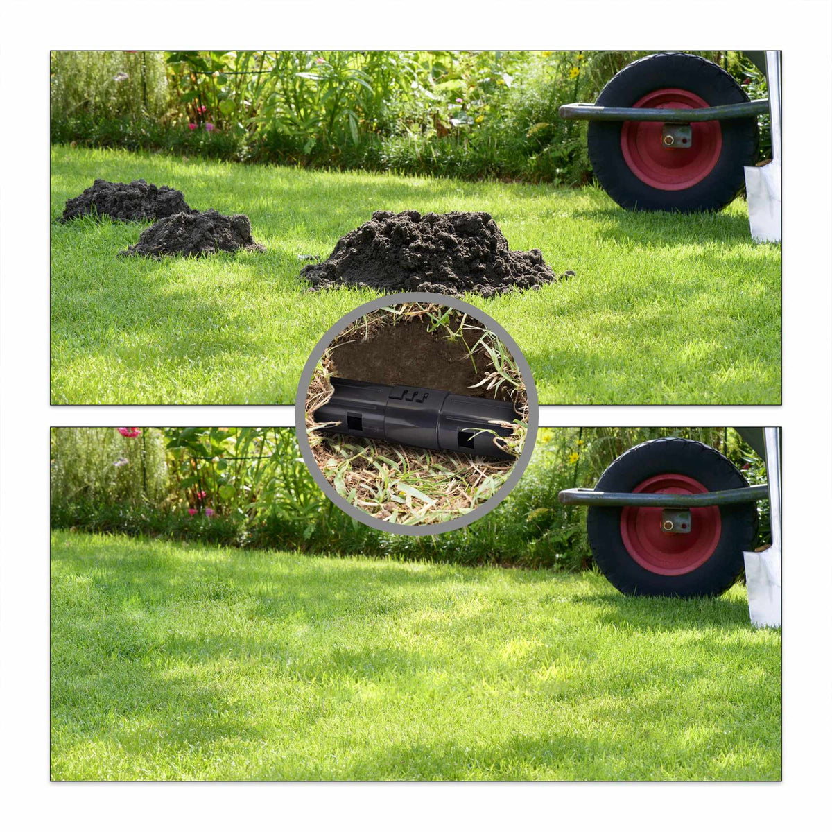 Mole trap Live trap