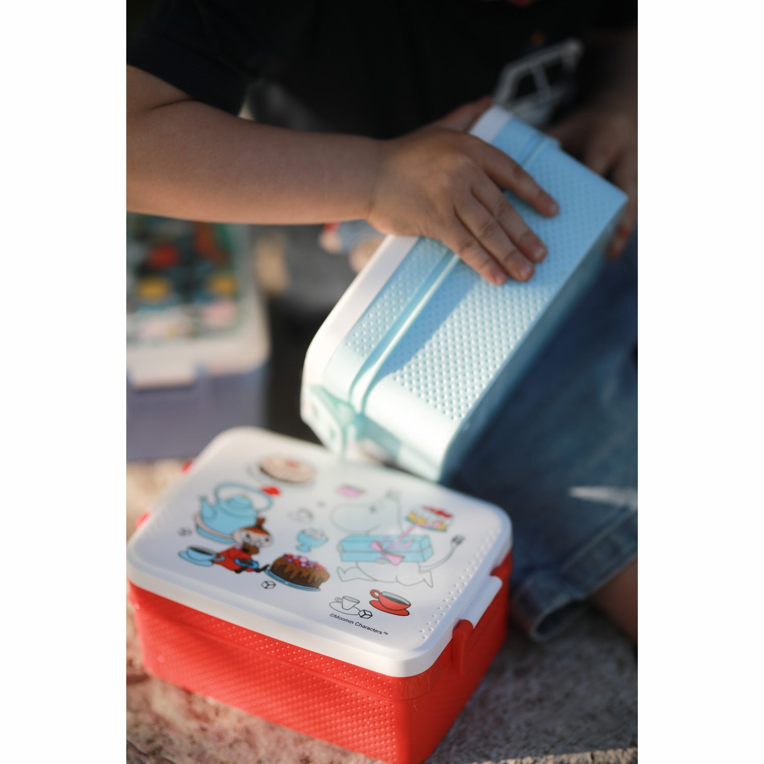 Moomin Little My, Lunch box