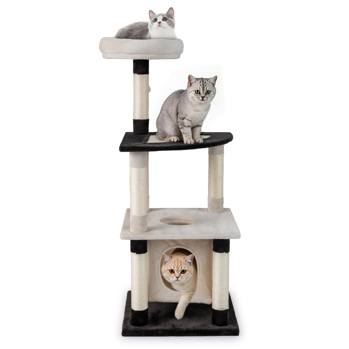 Multi-Level Cat Tree With Sisal Scratcher, Condo, Beige