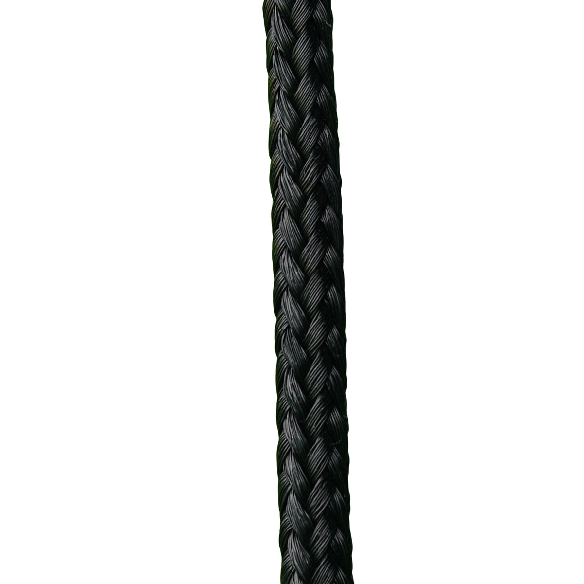 Nest Swing Ø110 Cm, Hanging Swing Up To 150 Kg, Adjustable Children'S Swing, Plate Swing For 3-12 Years Children, Green