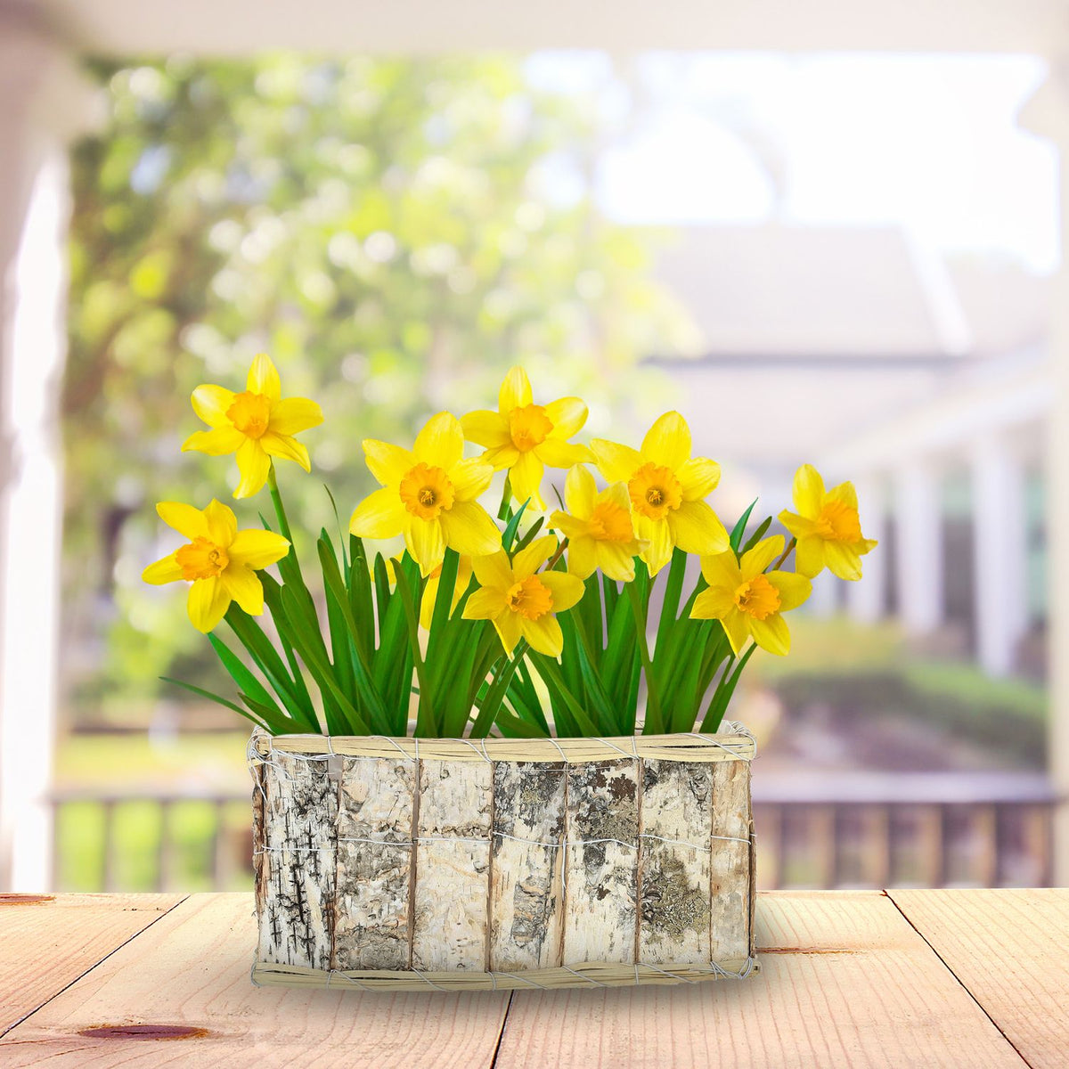 Oblong flower pot Birch Set of 3