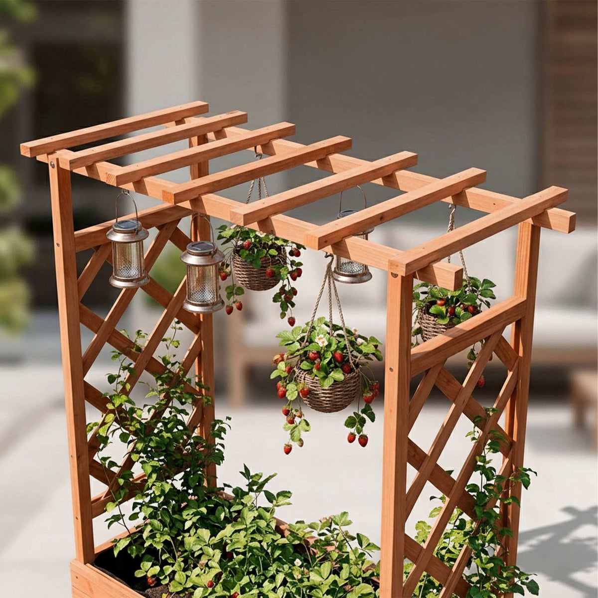 Orange Fir Planter with Trellis & Roof, Size M