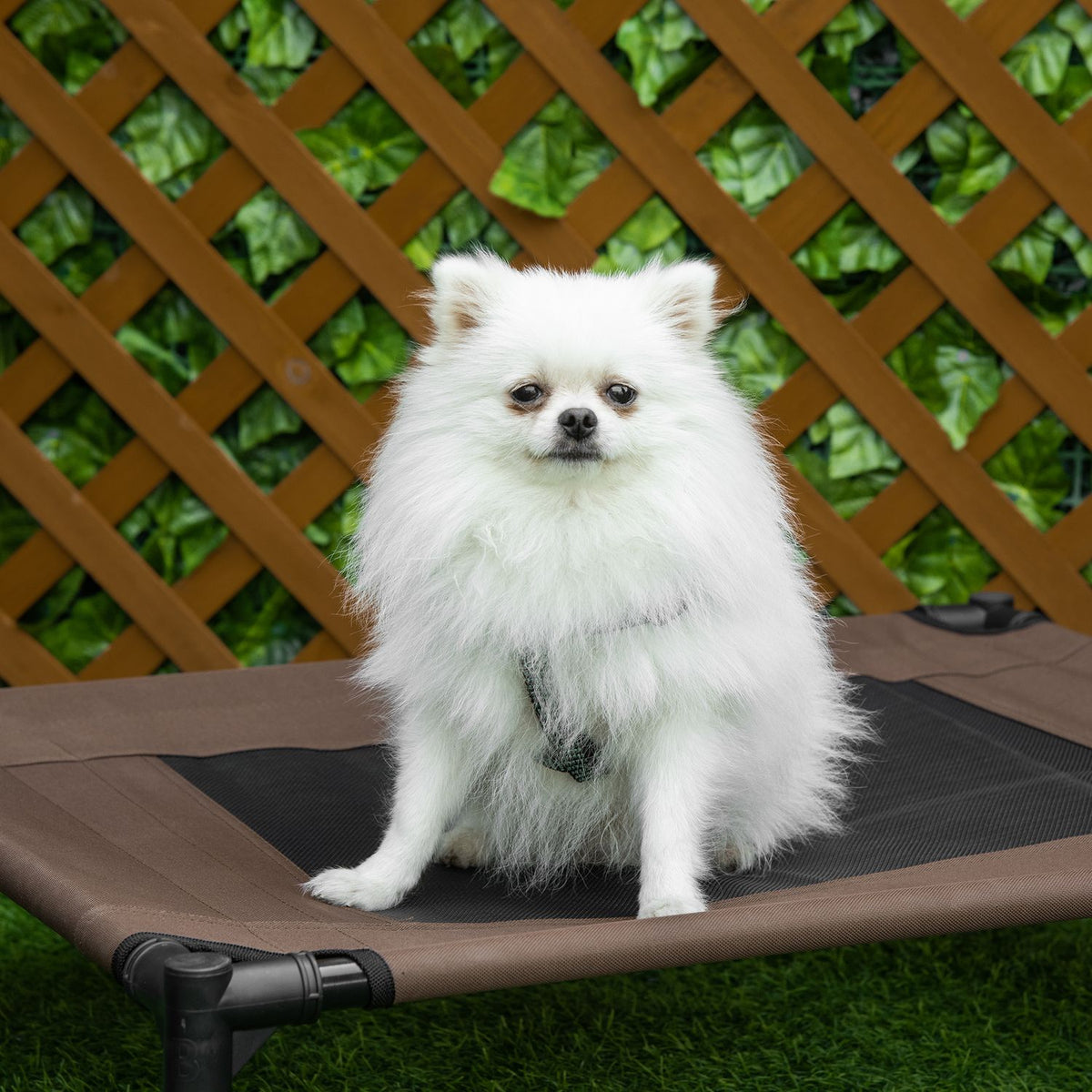 Outdoor Dog Bed Robust Dog Lounger 600D Oxford Brown 76X61X18Cm Dogs & Cats