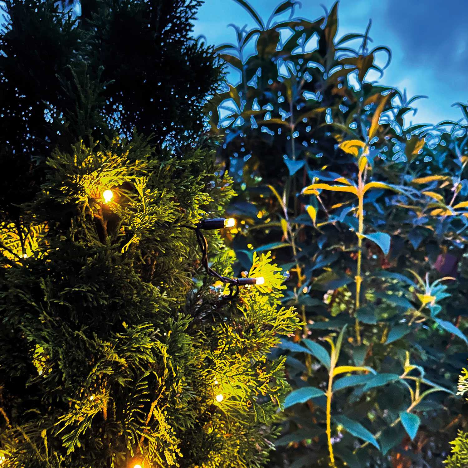 Outdoor LED String Lights, 10m 100 LEDs, Warm White 12V