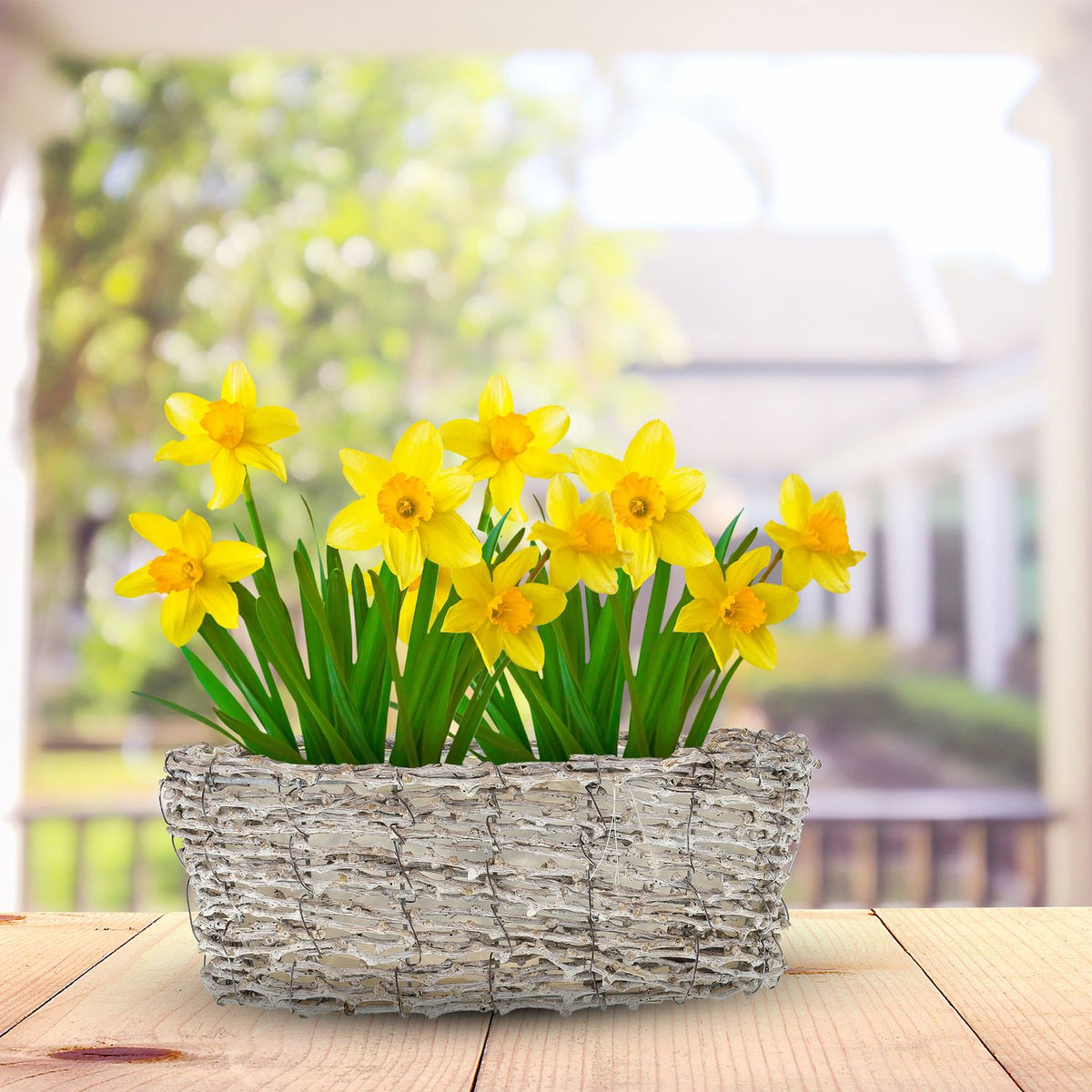 Oval flower pot - set of 3