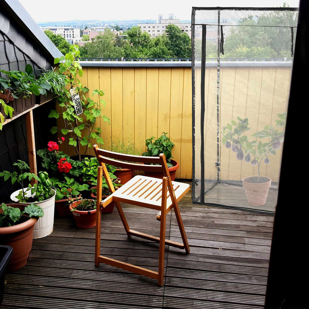 PVC tomato greenhouse