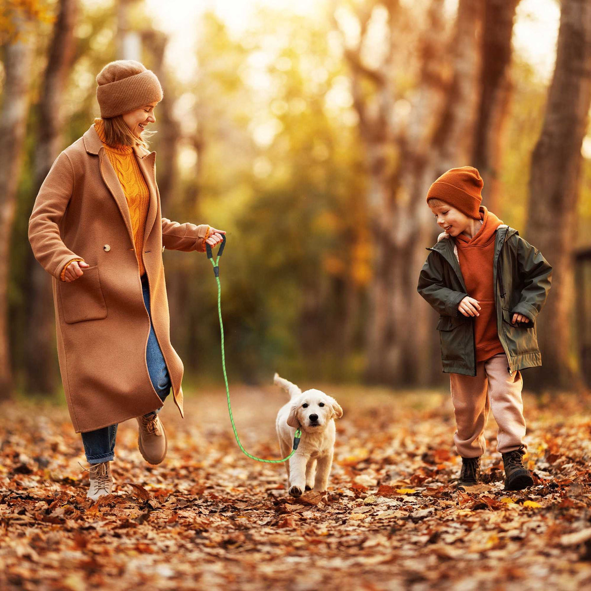 Padded dog leash green 150 cm
