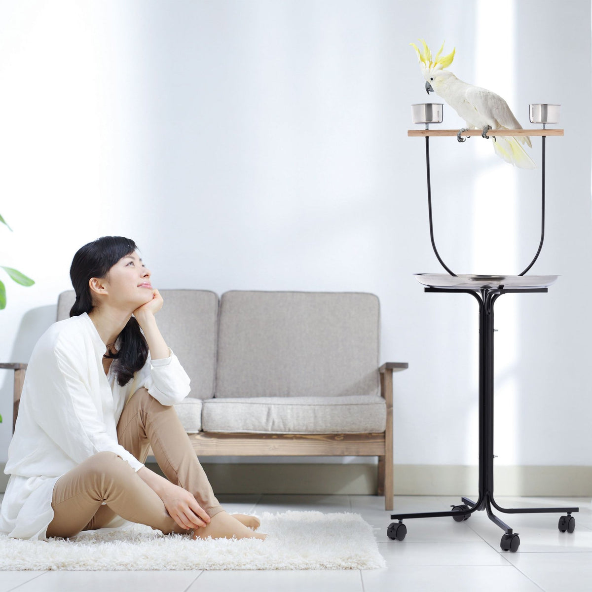 Parrot Perch