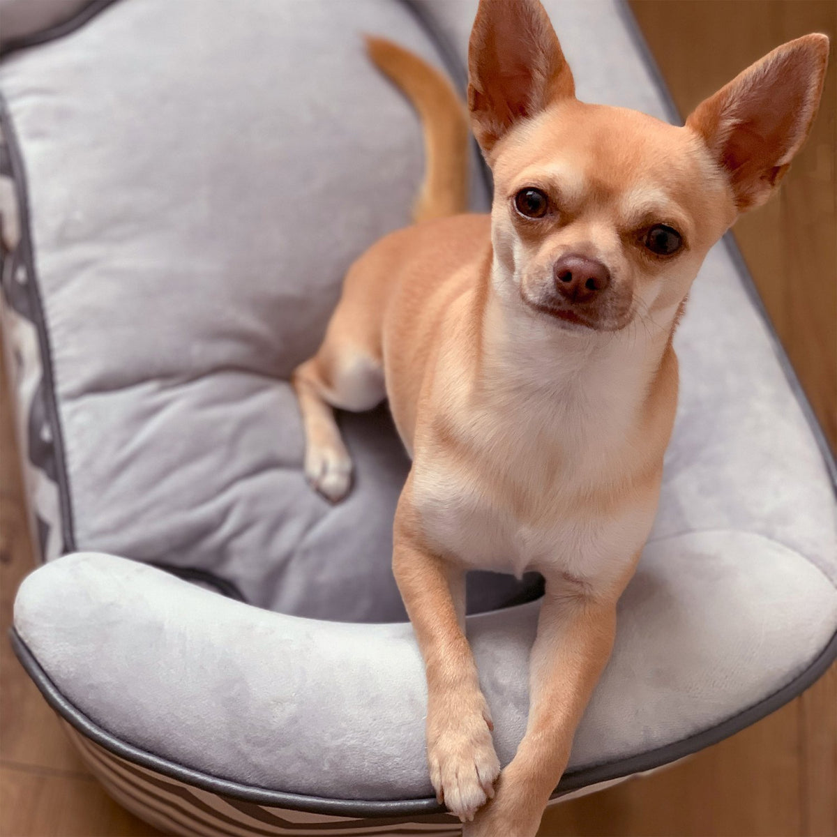Pet Sofa Dog Couch, Dog Sofa, Dog Bed, Cat Sofa, Padded, Wood, Foam, Gray, 68.5X40.5X40.5Cm