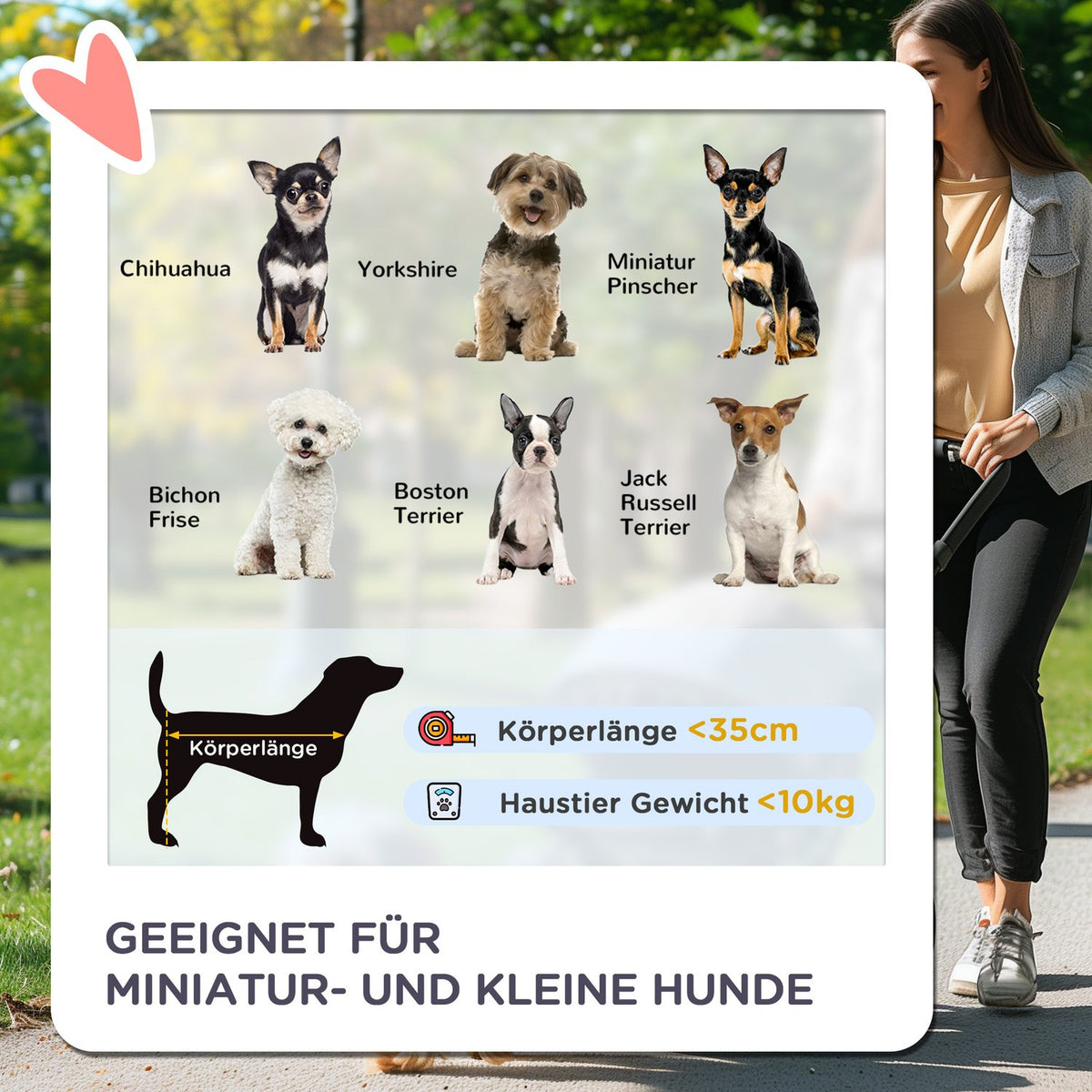 Pet Stroller for Small Dogs, Foldable, Black, 10kg Capacity