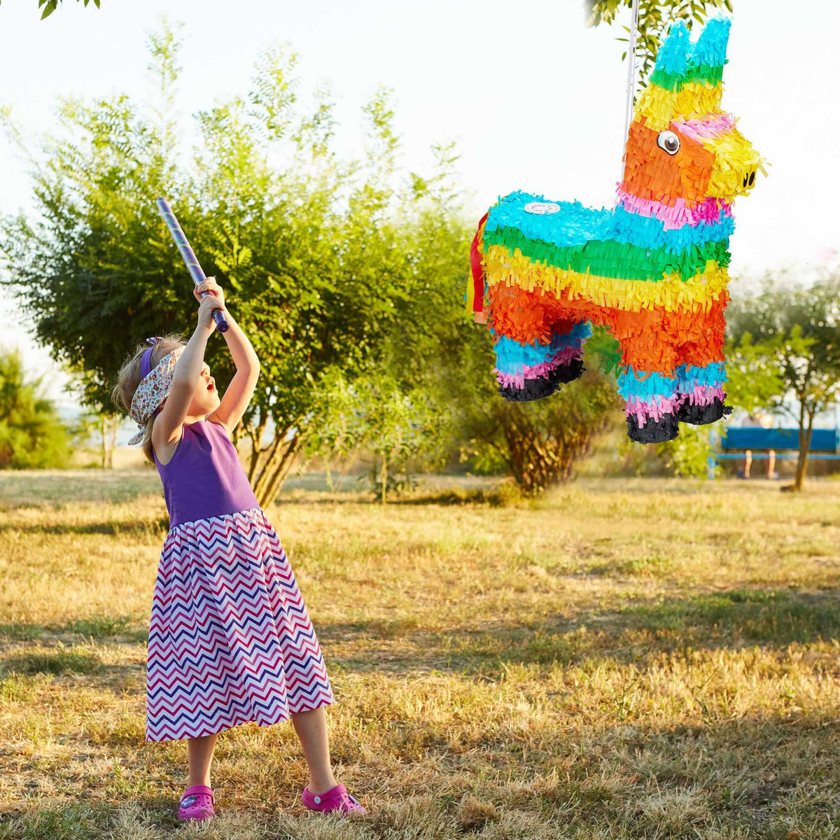 Pinata Llama