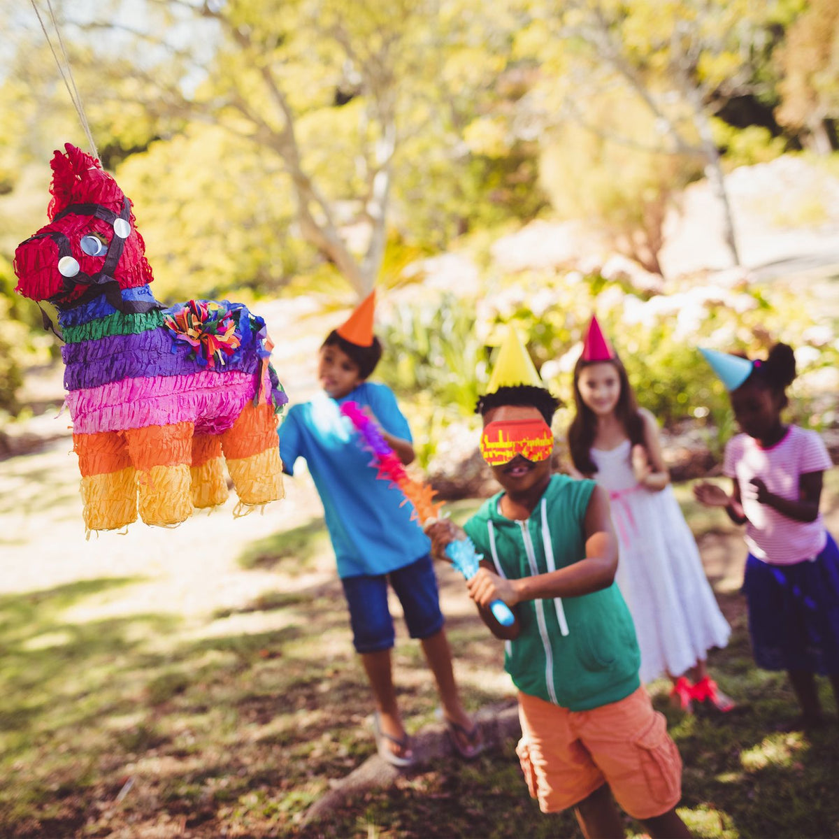 Pinata accessories