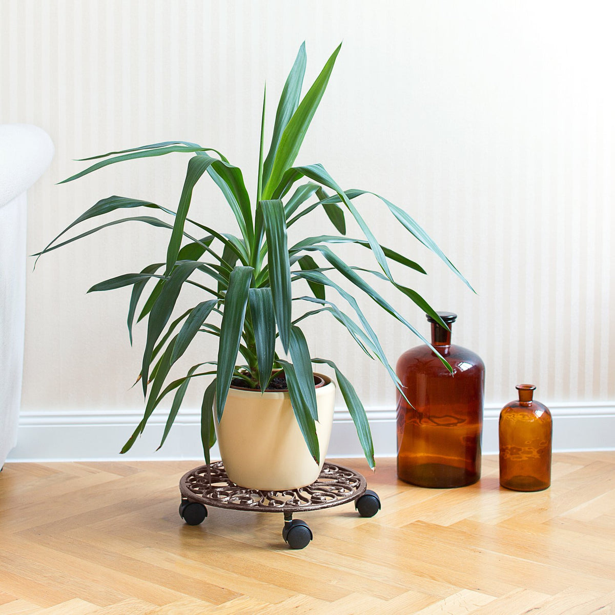 Plant Caddy Set with Wheels – Cast Iron, 2 Pack