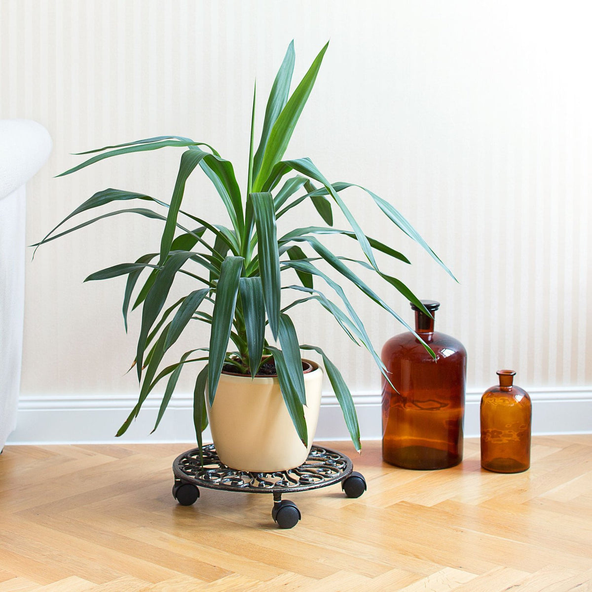 Plant Caddy with Wheels, Set of 2 – Cast Iron