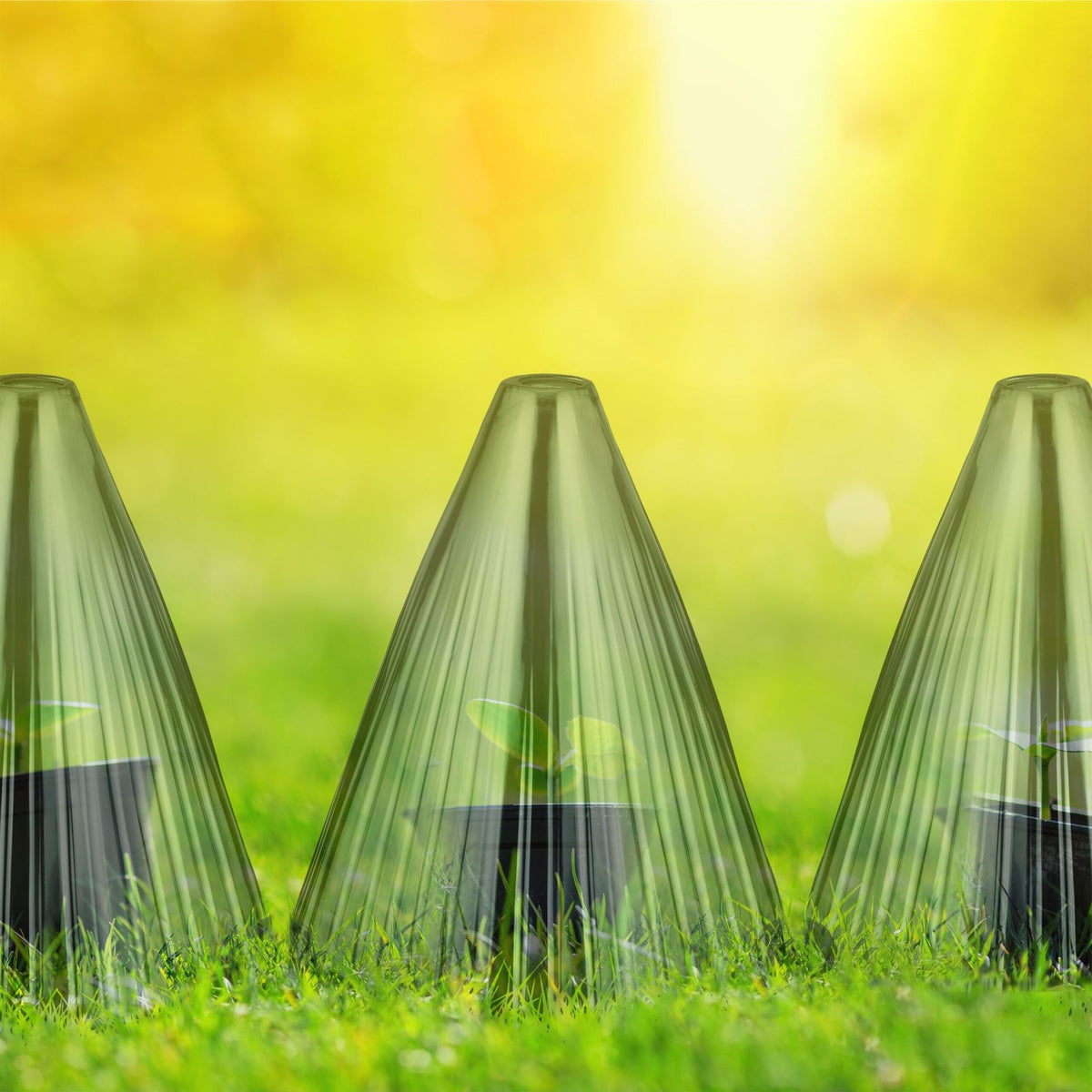 Plant Protection Cones, Dark Green, Set of 32