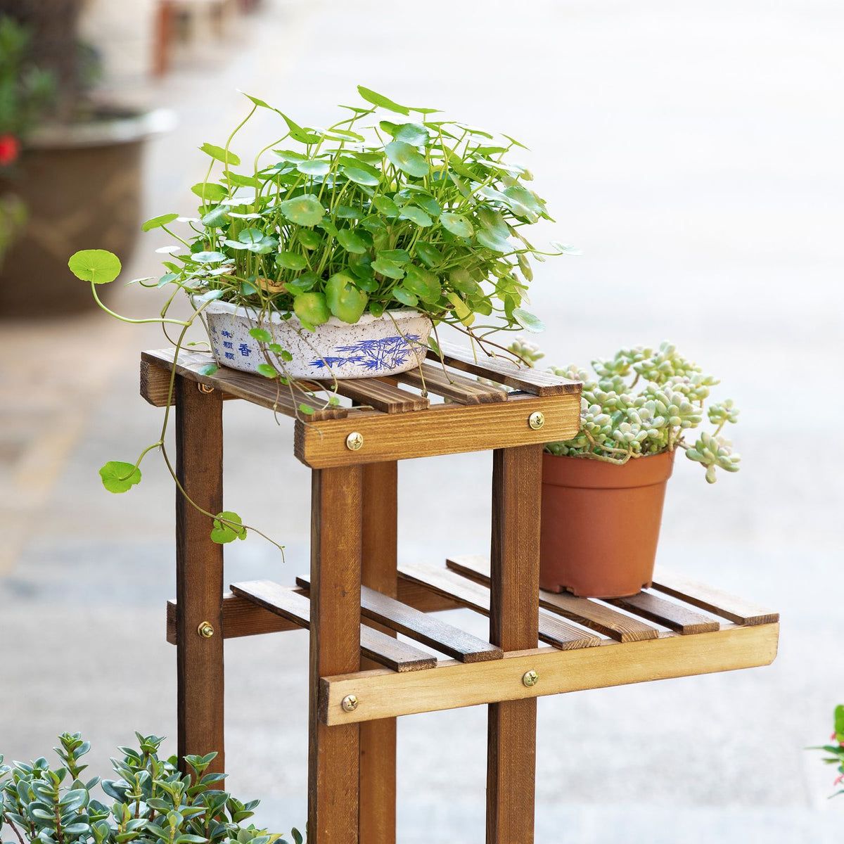 Plant Shelf Solid Wood Flower Stand With 6 Levels, Charred, 98X28X96.5Cm, For Garden & Balcony