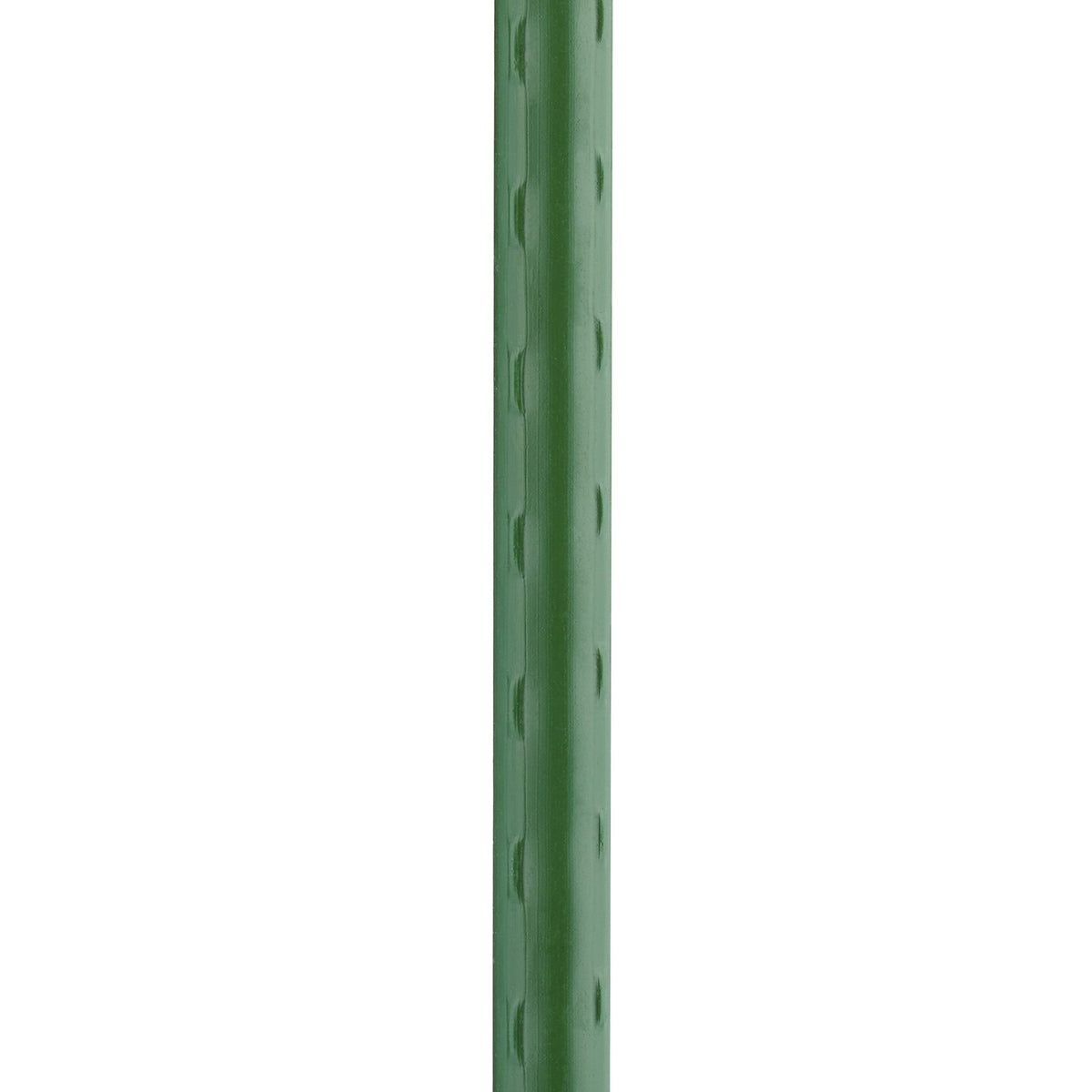 Plant Stakes 120 cm in Set of 10