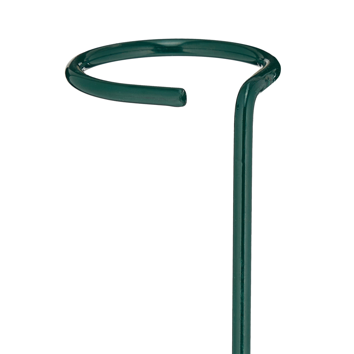 Plant Supports with Ring, Set of 10 Metal Stakes