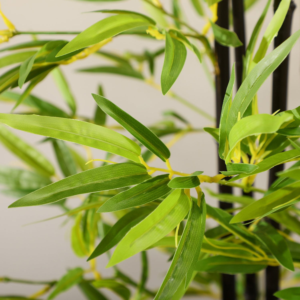 Planter, 150Cm, For Living Room, Green+Black