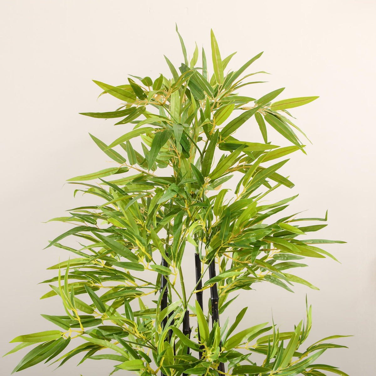 Planter, 150Cm, For Living Room, Green+Black