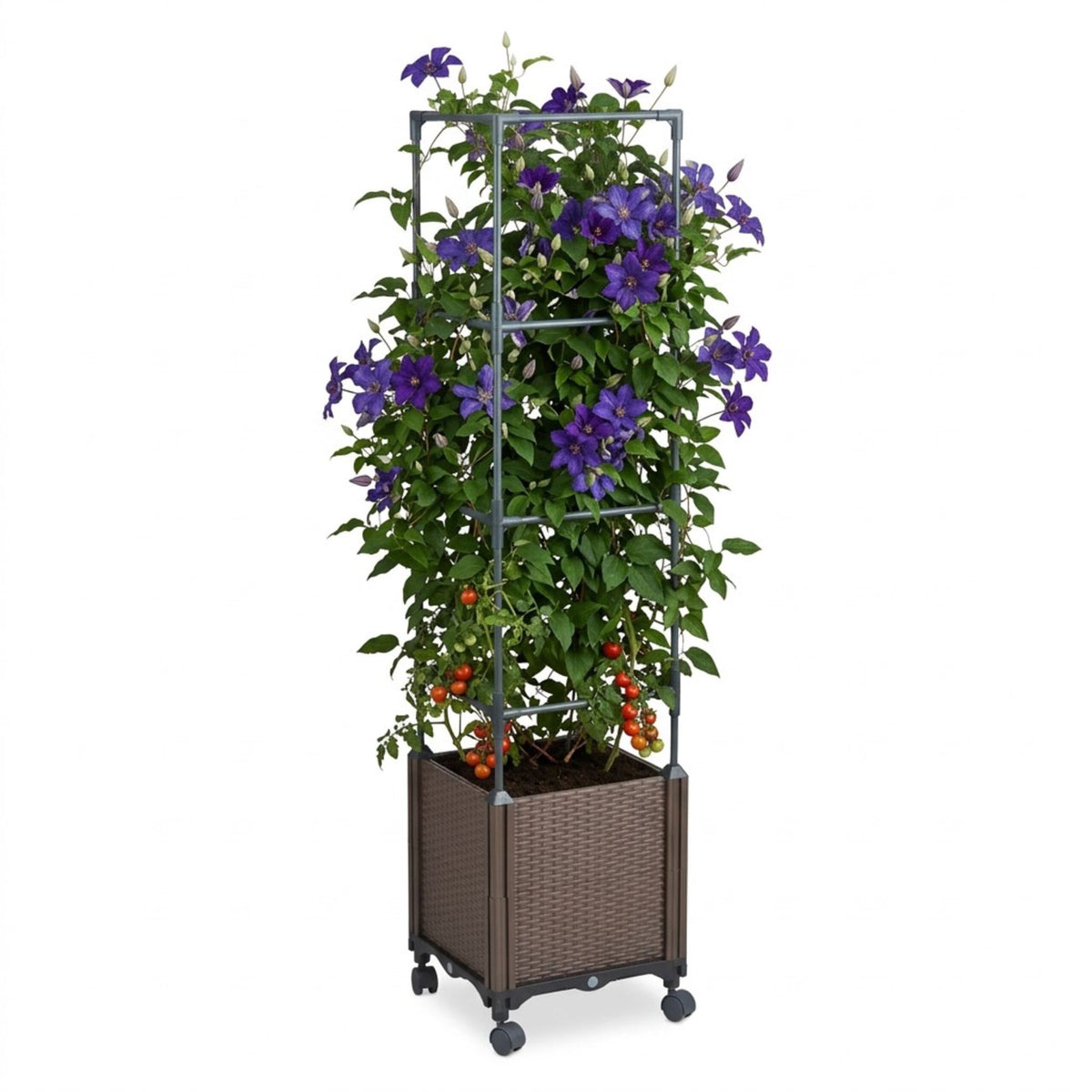 Planter Box with Trellis and Wheels – Rattan Style