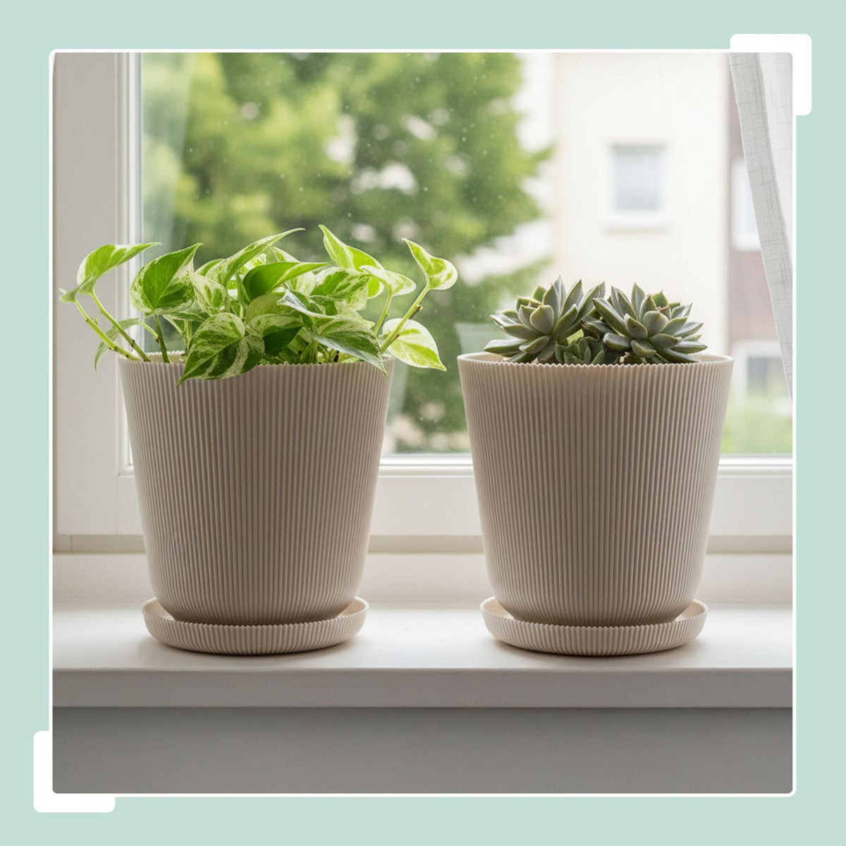 Planters with Saucers, Set of 2, Indoor/Outdoor