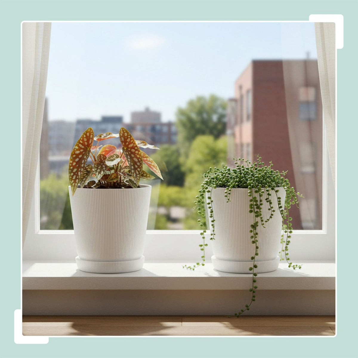 Planters with Saucers, Set of 2, Indoor/Outdoor