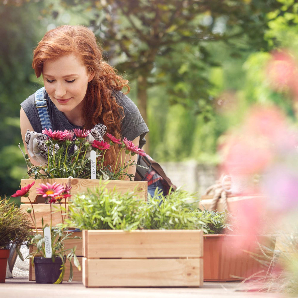 Plant labels, 300-pack