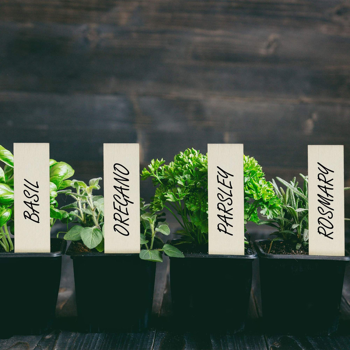 Plant labels, 60-pack