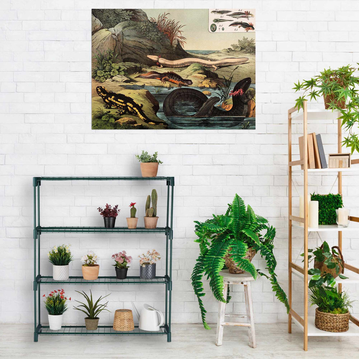 Plant shelf with 4 shelves